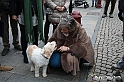 VBS_7176 - Continua la Fiera del Tartufo 2021 con i Registi di The Truffle Hunters